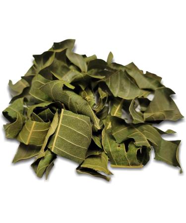 Living World Green Botanicals Dried Leaf Treat - Mango Leaves - 10 g (0.35 oz) - Buy Online on GoSupps.com