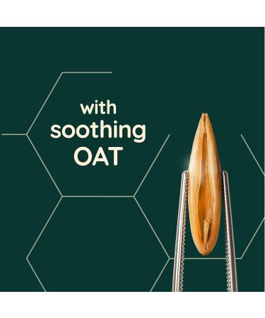 Aveeno Rosewater & Chamomile Scalp Soothing Shampoo 300ml - Frizzy Hair Treatment - Buy Online on GoSupps.com