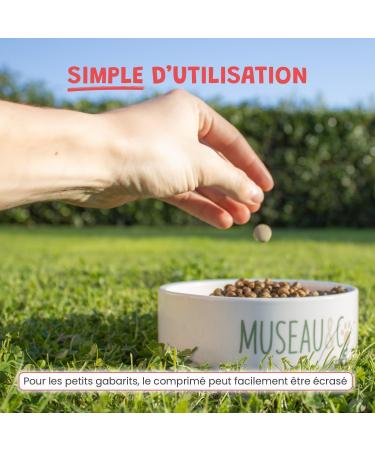 Vermi Protect Natural Dewormer for Dogs and Cats Herbal Antiparasitic Acts Against Worms in Cats and Dogs 60 Tablets Museau & Co Made in France - Buy Online on GoSupps.com