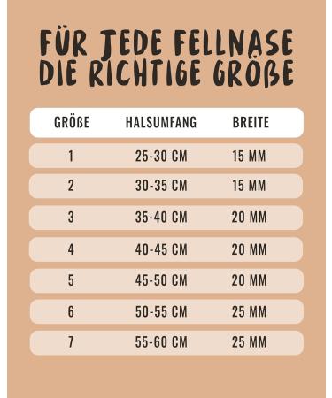 Rudelknig Paola Adjustable Reflective Dog Collar for Small Dogs - Black Nylon Size 1 (25-30cm) - Buy Online on GoSupps.com