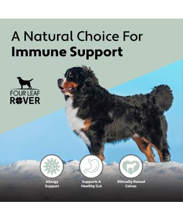 Four Leaf Rover: Bovine Colostrum from New Zealand Grass-Fed Cows - Dog Itch Relief and Immune Support - Up to 120 Servings Depending on Dog s Weight - Vet Formulated - Delicious - for All Breeds - Buy Online on GoSupps.com