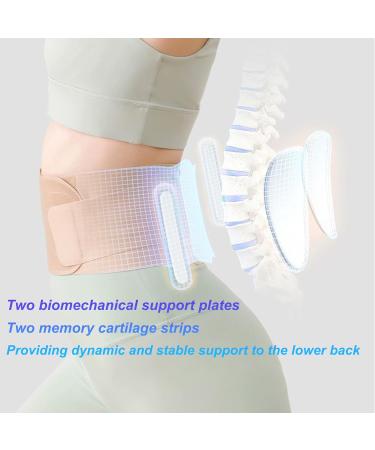 Back Brace for Lower Back Pain Relief | Adjustable Women s Support for Herniated Disc Sciatica & Scoliosis | Skin-Friendly Material & X-Large Size - Buy Online on GoSupps.com