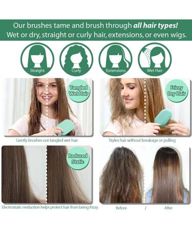 NuWay 4HAIR Traveler Patented Travel Brush (Dark Green) - Perfect for U.S. and International Trips - Buy Online on GoSupps.com