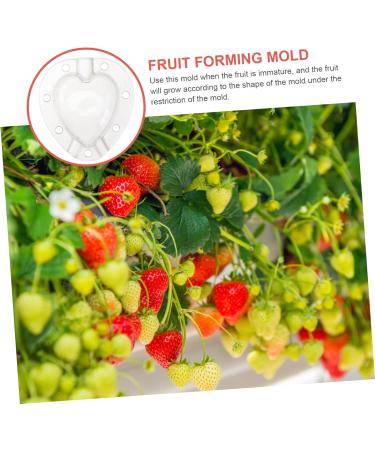 Kisangel 15 Pcs Fruit Shaping Mold Vegetables Fruit Forming Mold Fruit Growth Molds Gourd Gardening Supplies 4.5x4cmx3pcs Whitex3pcs - Buy Online on GoSupps.com
