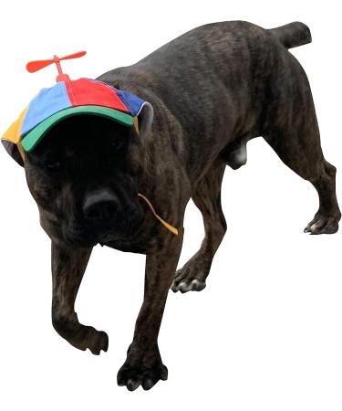 GEANBAYE Funny Propeller Dog Hat with Double Adjustment | Iridescent Pet Hat for Small, Medium, Large Dogs and Cats - Buy Online on GoSupps.com