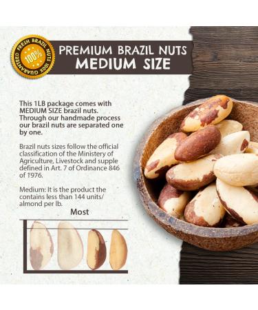 Organic Premium Brazil Nuts (1 LB) - Medium Size | Raw Whole Unsalted | Non-GMO & Kosher | Sustainably Harvested | 1 Pound Pack - Buy Online on GoSupps.com
