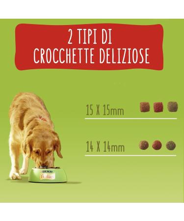 Purina Friskies Adult Dog Food with Beef Cereals and Vegetables 12 kg - Buy Online on GoSupps.com