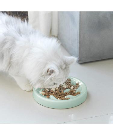 Cilkus Slow Feeder Bowl for Cats and Small Dogs - Fish Pool Design | Bloat Stop Puzzle Feeder for Healthy Eating | Melamine Food Grade Material | Dishwasher Safe | Green - Buy Online on GoSupps.com