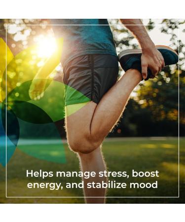 Synergy Holistics | Adrenal Synergy - Supports Energy & Mood - Stress Relief Supplement with Ashwagandha Holy Basil & Rhodiola - Non-GMO |1-2 Capsules Daily - 90 Veg Caps - Buy Online on GoSupps.com