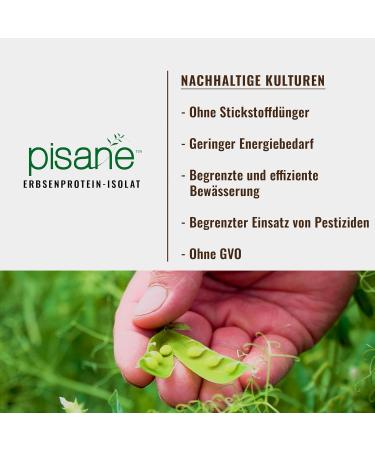 Weider Vegan Protein 540g - Cappuccino Taste | 23g Protein | Gluten-Free Sugar-Free Vitamin B12 | Eco-Friendly Packaging - Buy Online on GoSupps.com