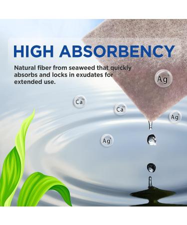 Ceeport Ag Silver Calcium Alginate Wound Dressing Pads 4''x4'' - 10 Pack | Gentle & Highly Absorbent Non Stick Silver Dressings for Wound Care - Buy Online on GoSupps.com