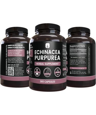 Echinacea Purpurea Capsules - 365 Count (1 Pack) | Pure Original Ingredients, Lab Verified, No Fillers - Buy Online on GoSupps.com