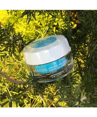ROAEXPO Jeju Ocean Collagen Peptide Cream 50mL - Moisturizing Brightening & Elasticity Care with Natural Ingredients - Made in Korea - Buy Online on GoSupps.com