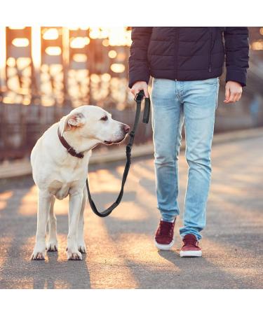 Hands Free Running Dog Lead - Retractable 7FT Long Training Leash for Medium Large Dogs - Reflective Nylon Tape - Ideal for Walking, Hiking, Jogging - Car Seat Belt Leash - Black - Buy Online on GoSupps.com
