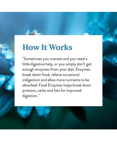 Nature's Sunshine Food Enzymes - Digestive Support with Prebiotics and Probiotics for Gut Health - Digestive Enzyme Supplement for Digestive Health and Relief from Occasional Indigestion - Buy Online on GoSupps.com