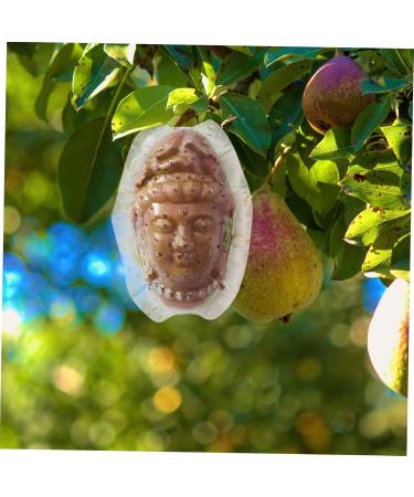 BCOATH Forming Vegetable Tool Clear Gardener Ginseng for Decorative Watermelon Transparent - Buy Online on GoSupps.com