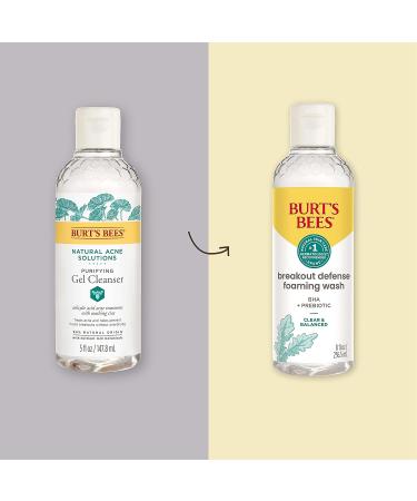 Burt's Bees Foaming BHA Face Wash - Breakout Defense Cleanser 8 Oz - Buy Online on GoSupps.com