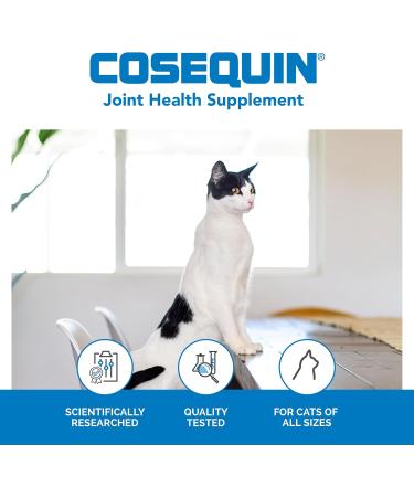 Nutramax Cosequin Joint Health Supplement for Cats - with Glucosamine and Chondroitin 55 Capsules - Buy Online on GoSupps.com