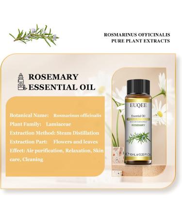 EUQEE Rosemary Oil 10ml Pure Rosemary Essential Oils Natural Aromatherapy Essential Oil Essential Oils for Diffusers Relax Humidifiers Rosemary 10 ml (Pack of 1) - Buy Online on GoSupps.com