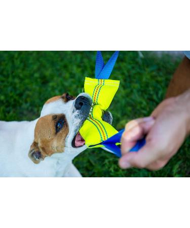 Buy Bull Fit Dog Toys (2-Pack) | Durable 30cm Fire Hose Tug Toys for K9 Training & Play - Buy Online on GoSupps.com