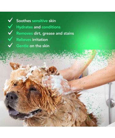 Wahl Showman Aloe Soothing Shampoo 5L - Clear & Unisex | WHL0092 - Best International Shipping - Buy Online on GoSupps.com