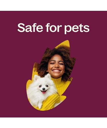 Buy Plant Therapy Sweet Fennel Essential Oil 10 mL - 100% Pure Undiluted Therapeutic Grade | International Shipping Available - Buy Online on GoSupps.com