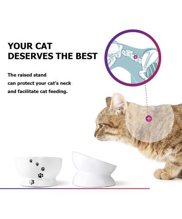 Y YHY Raised Tilted Cat Food and Water Bowl Set - No Spill, Elevated Ceramic Feeder for Flat-Faced Cats and Small Dogs (White, Set of 2) - Buy Online on GoSupps.com