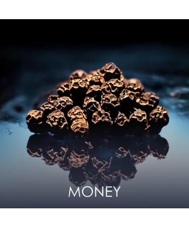 Philipp Plein Eau de Parfum No Limits 90 ml Parfum Homme Notes Orientales et Bois es Un Tatouage Olfactif Ind l bile et Sensuel Bois Oriental Flacon en Verre Laqu Noir Citrus 3 Fl Oz (Pack of 1) - Buy Online on GoSupps.com