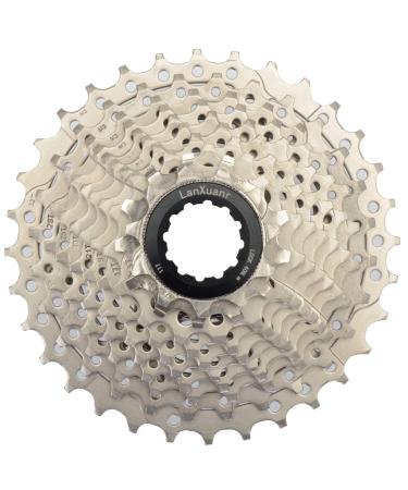 LANXUANR 10 Speed Mountain Bicycle Cassette Fit for MTB Bike, Road Bicycle,Super Light 11-32T