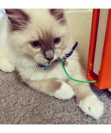 Mood Pet Fling-AMA-String Cat Toy - Interactive Toy for Cats - Buy Online on GoSupps.com