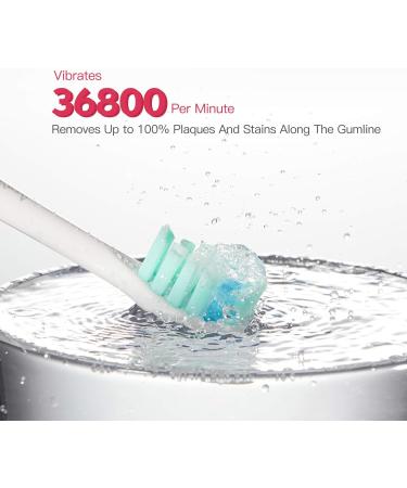 Apiyoo P7 Rechargeable Sonic Electric Toothbrush | 5 Brushing Modes & 2 Min Timer | IPX7 Waterproof | for Adults (White) - Buy Online on GoSupps.com