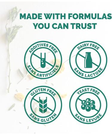 VORST Vegan Protein Powder Vanilla with Multivitamins 900g 45 Servings | Natural Plant Based Pre Post Workout & Meal Replacement Shake | 1 Jar - Buy Online on GoSupps.com