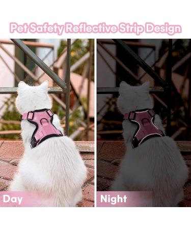 Cat Lead and Harness Set Pink Cat Harness with Reflective Strips Escape Proof Harness for Cats Adjustable Cat Leash Kitten Harness Cat Lead Kitten Leash for Small Medium Cats Pets (XS) - Buy Online on GoSupps.com