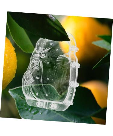 SUPVOX Shape Reusable Transparent Planting Shaping Tools Luck for Growing Forming Garden Peach Gardening - Buy Online on GoSupps.com