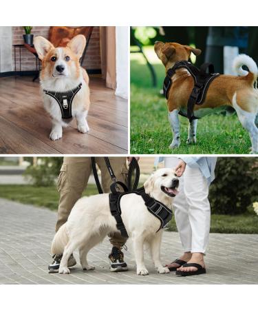 Etaccu No-Pull Dog Harness - Adjustable Breathable Reflective Safety Harness for Medium Dogs - Comfort & Control Black L - Buy Online on GoSupps.com