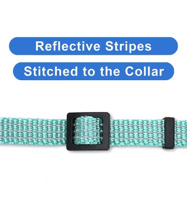 Pawtitas Reflective Cat Collar | Safety Buckle & Bell | Personalized & Customizable | Teal - Buy Online on GoSupps.com