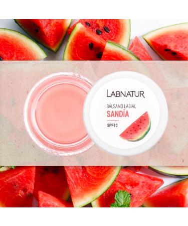 SANDIA SYS LIP BALANCE Organic Lip Care 100% certified natural cosmetics 15 ml - Buy Online on GoSupps.com