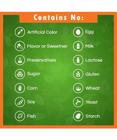 Best Naturals Ginkgo Biloba 120mg - 120 Capsules | Natural Brain Support Supplement - Buy Online on GoSupps.com