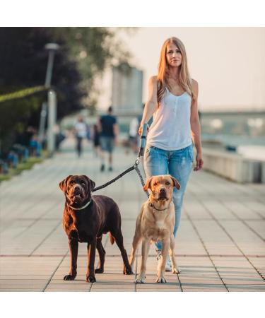 Double Dog Leashes - Reflective 360 Rotatable Adjustable for Training & Walking - International Shipping Available - Buy Online on GoSupps.com