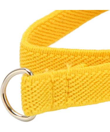 Buy Tita-Dong Adjustable Bird Dishes & Leash - Outdoor Flight Set for Parrots & Nymphic | International Shipping - Buy Online on GoSupps.com
