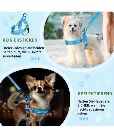 Eyin No-Pull Dog Harness with Leash & Soft Padded Reflective Adjustable Vest for Puppies Small & Large Dogs - Light Blue XS - Buy Online on GoSupps.com