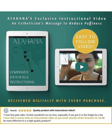 Natural Jade Roller & Gua Sha Set with Fridge Case | Includes Video Tutorial & Ebook - Buy Online on GoSupps.com