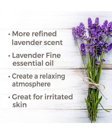 Buy Plant Therapy Lavender Fine Essential Oil 5 mL | 100% Pure Undiluted Therapeutic Grade - International Shipping Available - Buy Online on GoSupps.com