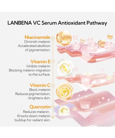 Vitamin C Serum for Face - 20% 30ml/1oz Brightens Removes Dark Spots Reduces Wrinkles Anti-Aging Niacinamide & Vitamin E Moisturizer with Hyaluronic Acid - Glowing Skin. - Buy Online on GoSupps.com