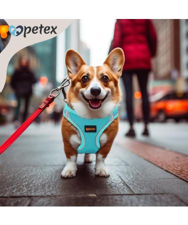 Petex Dog Harness for Small & Medium Dogs - TUV Tested Made in Europe Breathable & Reflective Puppy Dishes with Air Mesh - Baby Blue 2XS - Buy Online on GoSupps.com