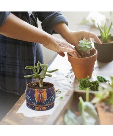 Scented Candles Home Gift Set - 100% Natural Soy Wax Aromatherapy - Stress Relief Birthday & Christmas Gifts - Vanilla Rose Orange Lemon - Bohemian 4 Pack - Buy Online on GoSupps.com