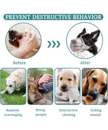 Adjustable Dog Muzzle for All Sizes - Soft Cover Poison Bait Protection Bite & Chew Resistant - Buy Online on GoSupps.com