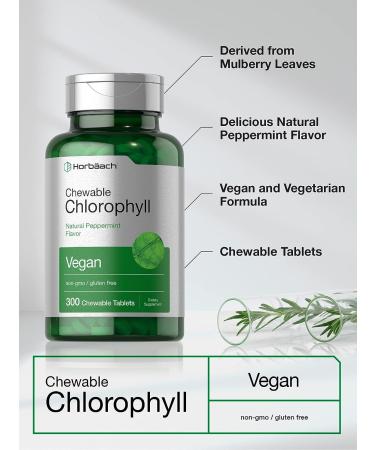 Chlorophyll Tablets 300 Chewables - Natural Peppermint Flavor, Vegan, Non-GMO, Gluten Free by Horbaach - Buy Online on GoSupps.com