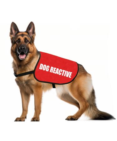 Reactive Dog Jacket Vest Dog Reactive Service Dog Slogan Warning Vest (Dog reactive M)