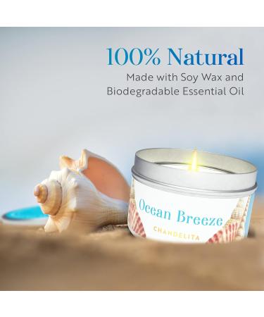Chandelita Sea Breeze Fragrance Candle | Natural Soy Wax & Mussels | Relax & Meditate for Well-Being - Buy Online on GoSupps.com